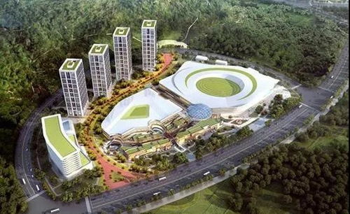 武漢躋身全球二線城市 運動項目經營迎來新機遇